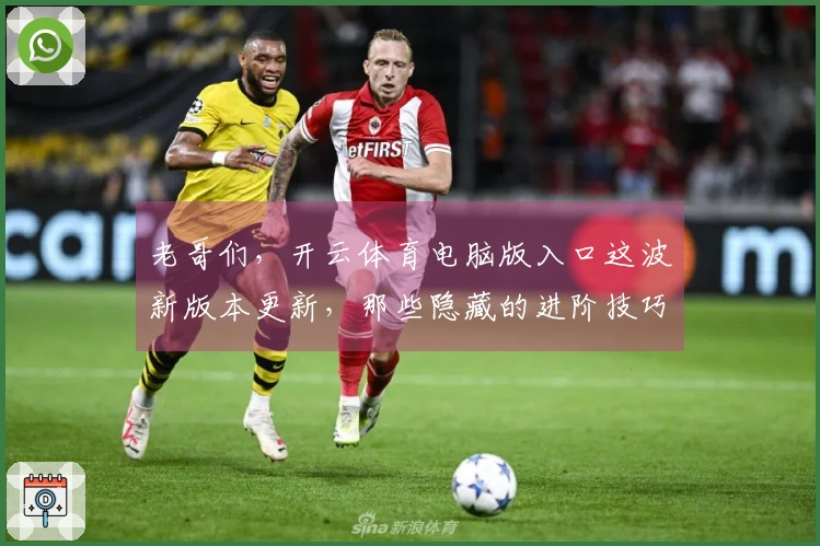 老哥们，开云体育电脑版入口这波新版本更新，那些隐藏的进阶技巧你都知道吗？